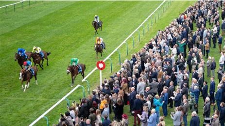 17.93亿，英国2025年赛马奖金大涨！