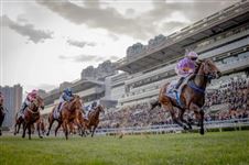 “小鸟天堂”首战告捷 勇夺香港经典一哩赛冠军