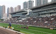 17.13亿！近五万人入场见证，“风云武士”勇夺华商会挑战杯