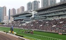 17.13亿！近五万人入场见证，“风云武士”勇夺华商会挑战杯