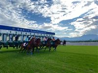 加入赛马精英团队！香港赛马会从化马场招聘策骑员（矮马方向）