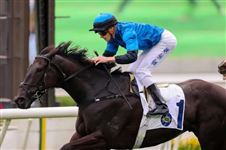 “一定超”剑指香港打吡大赛！