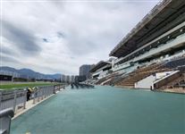 应家柏：跑马地赛事开放入场，香港国际赛低调筹备！