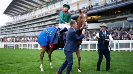 提前锁定“世界马王”？“格伦岛” 评分达130分