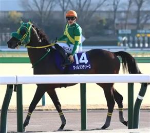 中东局势动荡，迪拜世界杯赛马日遭遇退赛潮！