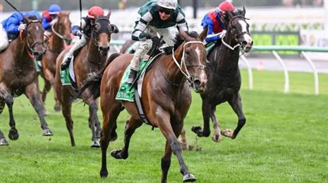 玉龙“精致之道”是功臣，麦道朗荣膺全球最佳骑师！