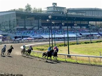 再见！133年赛马历史正式落幕