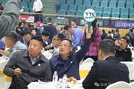 最高出价140万,2026玉龙春季拍卖会顺利落幕!