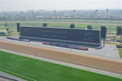 无视退赛潮，12匹日本马迎难而上远征迪拜！