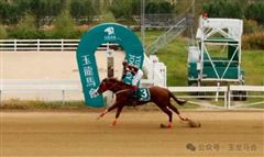 玉龙马会启动2026赛季马房预订