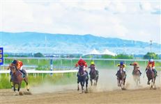 重磅！2026呼市赛马常规赛第二阶段报名启动，千万奖金等你来战！