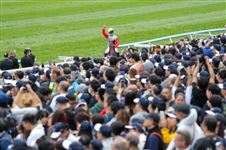 港马横扫三冠，“嘉应高升”实现16连胜，2025香港国际赛今日开赛！