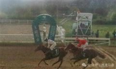 “万之义”“登上云巅”“少侠”率先折桂，强降雨致玉龙今日后续赛事取消！