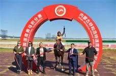 2025内蒙古呼和浩特速度赛马常规赛收官战圆满落幕！