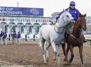 马主向赛马公司索赔近7000万！