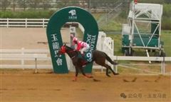 “玉龙踏风”、“快龙”、“龙腾豪爵”等夺冠，2026玉龙常规赛第二个赛日完赛！