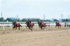 超300驹鏖战2026哲里木赛马大会！
