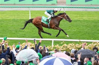 玉龙麾下马会“精致之道”退役！