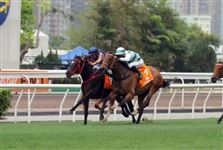 去年以90倍冷门夺冠，今年“红运帝王”能否卫冕富卫保险冠军一哩赛？