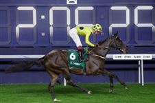 富卫保险女皇杯：“浪漫勇士”欲夺冠，需以最佳状态击败“御冠军”！