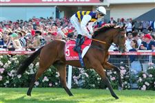 与“遨游气泡”同场较量，“港边小区”剑指冠军一哩赛！