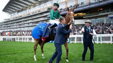 中国赛驹名列前茅，2025年世界马匹年终排名和全球百大G1赛出炉！