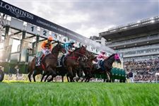 “百周年纪念短途杯”、“董事杯”马匹排位表公布