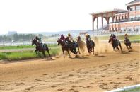 总奖金约6000万，2026玉龙国际赛马公开赛5月9日开锣！