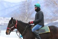 奇观！众多印度人投身日本赛马业
