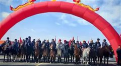 重磅！新疆携手国际马联与香港马会，共推国产伊犁马走出国门