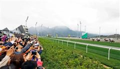 香港赛马会从化马场招聘策骑员（设特兰矮马、速度赛马、马术方向）等多个岗位