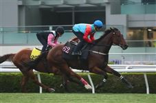 “嘉应高升”试闸备战短途锦标，剑指富卫保险冠军赛马日