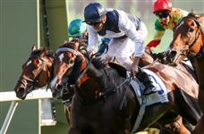 “白鹭金刚”新马季首战告捷勇夺庆典杯！