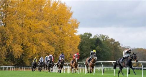 骑师明年起加工资，马主慌了！