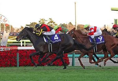 21世纪首次！有马纪念赛日投注额突破700亿