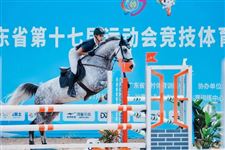 广东省第十七届运动会竞技体育组马术比赛圆满落幕！