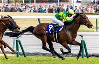 “里见梦境”攻下2026高松宫纪念赛！