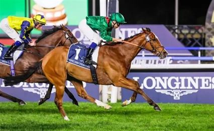 世界马王“格伦岛”避战香港，与“浪漫勇士”巅峰对决告吹！