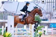 报名通道已开启！2026年广东马术省联赛第二站（深圳威廉）将开赛