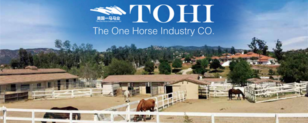 TOHI