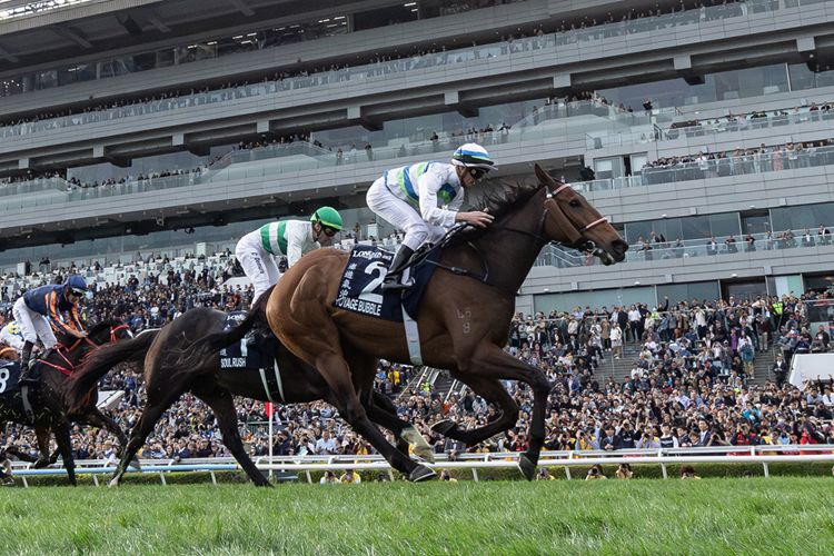 news_2025121401655_02-1.jpg news_2025121401655_02-1.jpg